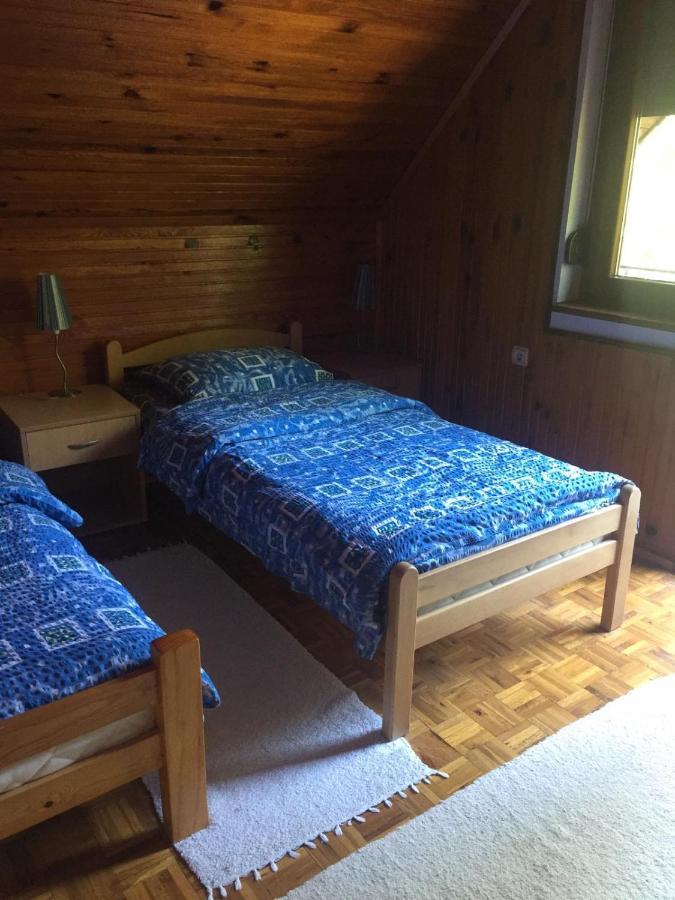 Vila Borovic Zlatibor Exteriör bild