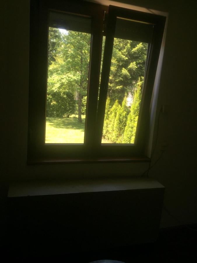 Vila Borovic Zlatibor Exteriör bild