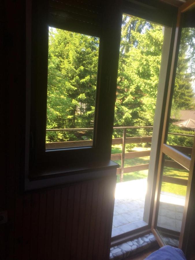 Vila Borovic Zlatibor Exteriör bild