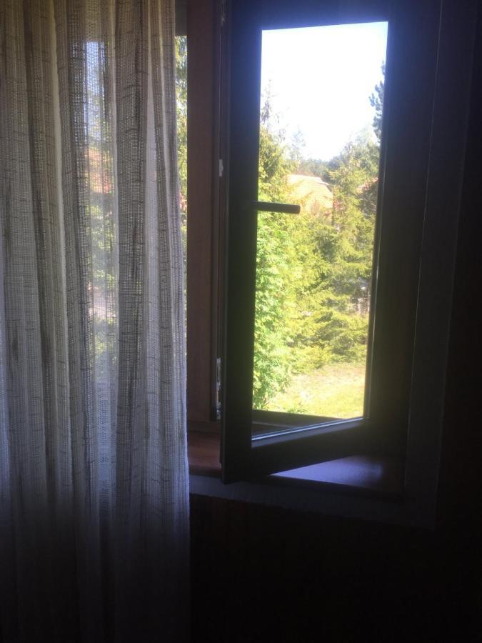 Vila Borovic Zlatibor Exteriör bild