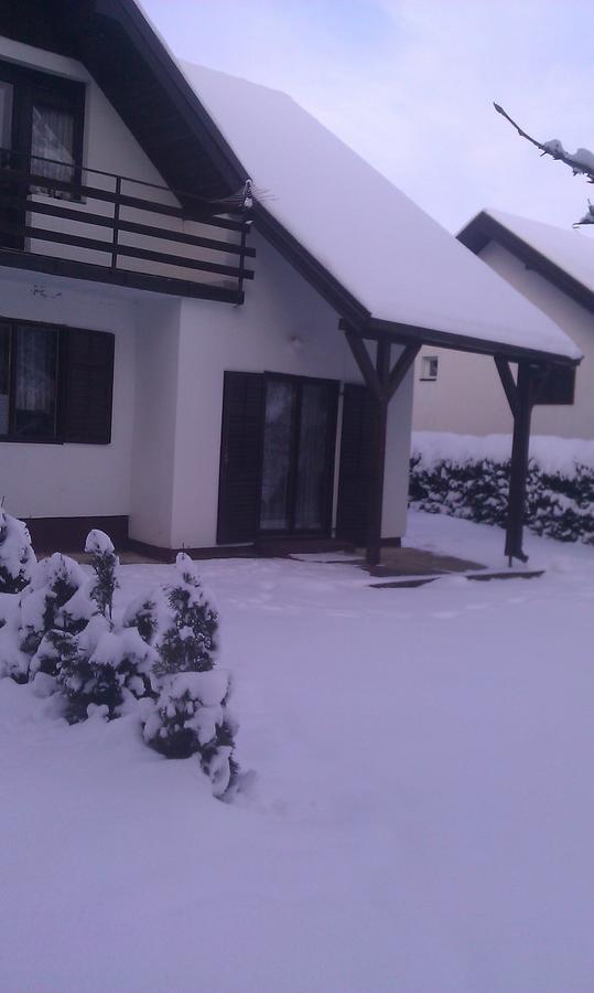 Vila Borovic Zlatibor Exteriör bild