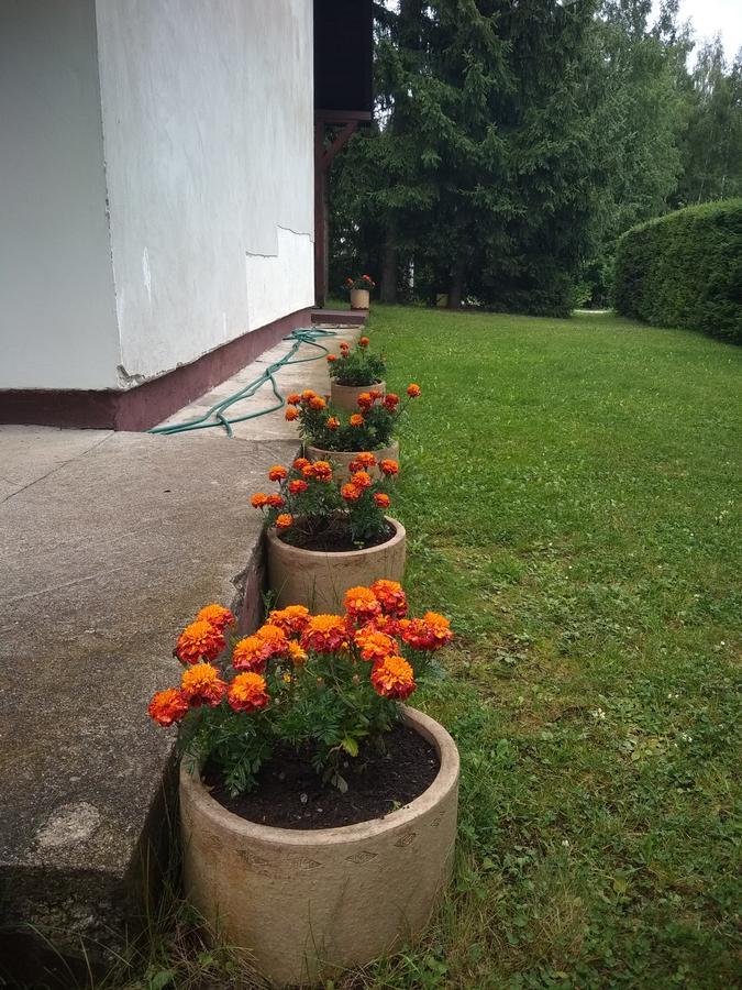 Vila Borovic Zlatibor Exteriör bild