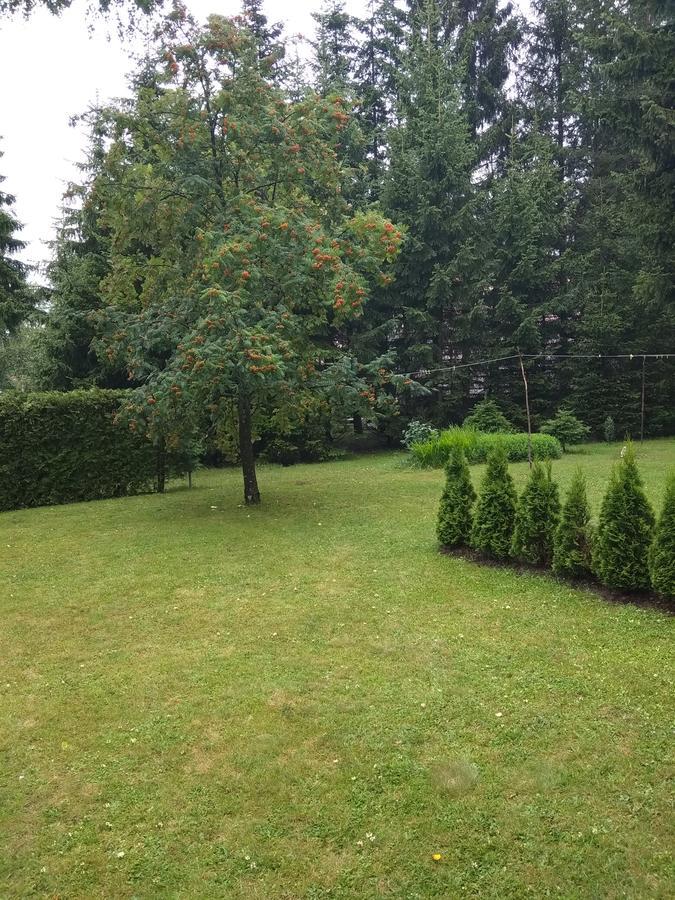 Vila Borovic Zlatibor Exteriör bild