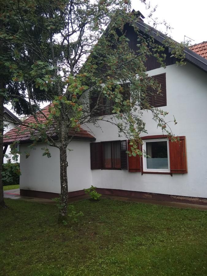 Vila Borovic Zlatibor Exteriör bild